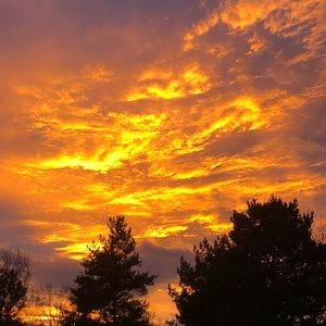 Meet your Posher, Maureen